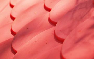 Little Limber plastic roof costs