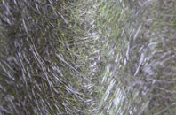 Little Limber fibreglass roof work